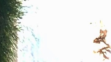 Maya Covarrubías y su hermanito Joaquín Covarrubías muestran la colecta de calcetines, cobijas y otras donaciones para los desamparados. (Suministrada)