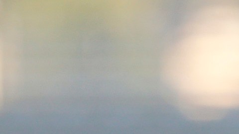 Rubens Sambueza es el nuevo refuerzo del Club León a partir del Clausura 2019