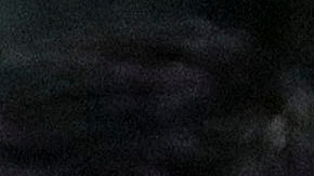 Una monumental trifulca se desató en las tribunas del estadio Azteca