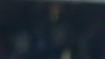 Miguel Herrera sigue celebrando el título del América