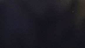 Las Águilas del América van en busca del bicampeonato