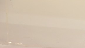 Carlos Salcido le dijo adiós a las Chivas del Guadalajara