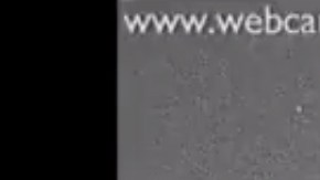 La erupción alcanzó 1.8 km (1.1 milla) de altura sobre el cráter del volcán.