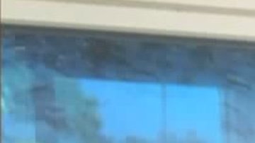 Nancy Paulikas desapareció en octubre del 2016 durante una visita a un museo en Los Ángeles
