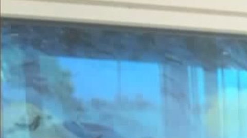 Nancy Paulikas desapareció en octubre del 2016 durante una visita a un museo en Los Ángeles