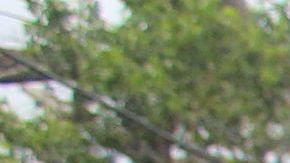 Residentes de Ponce, Puerto Rico, a pocos días del paso del huracán.