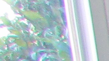 Vilma L. , una inmigrante de Guatemala está pidiendo asilo político en los Estados Unidos. (Araceli Martínez/La Opinión).