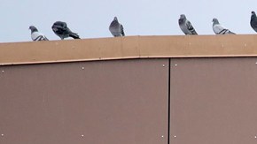 Walmart busca superar a Amazon