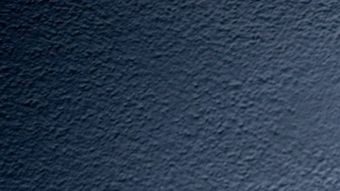 Fernando Malvar-Ruiz se estrenó con el coro en agosto. Foto: Ben Gibbs