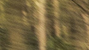 El límite de velocidad nacional fue eliminado en los 90s