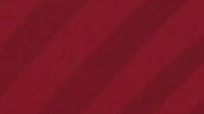 Andrés Manuel López Obrador, presidente de México.