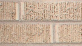 La salvadoreña Araceli Velásquez vive con  su familia en una Iglesia de Denver que forma parte del movimiento santuario. Foto: suministrada