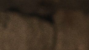 Las mujeres pronto dominarán el mundo de las motocicletas