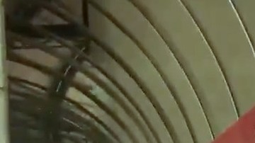 Fallas en las máquinas desataron el caos en el estadio BBVA Bancomer