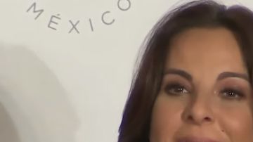 Del Castillo catalogó de injusto el proceso en su contra.