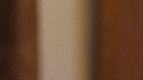 Donald Trump y Andrés Manuel López Obrador.