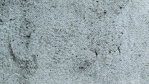 Draco Rosa dice estar libre de cáncer. Foto: Cortesía