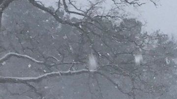 La tormenta Diego arrojó más de 10 pulgadas de nieve.