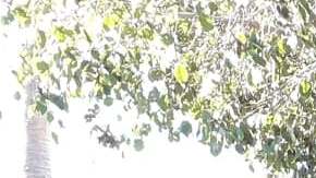 Emma Sánchez, se reunificó con su esposo Michael Paulsen y sus tres hijos Alex, Liam y Ryan. (Foto Cortesía Yolanda Varona).