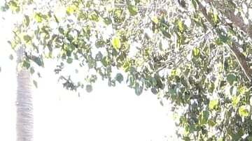 Emma Sánchez, se reunificó con su esposo Michael Paulsen y sus tres hijos Alex, Liam y Ryan. (Foto Cortesía Yolanda Varona).