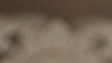 El 54% de los estadounidenses sufren de momentos de ansiedad por el dinero./Shutterstock