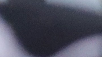 Comparan la práctica del gobierno con la que utilizaron los nazis