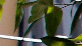 El Ejército mexicano resguarda el Consulado de EEUU.