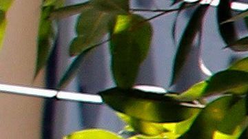 El Ejército mexicano resguarda el Consulado de EEUU.