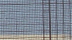 1,100 de los detenidos son menores de edad