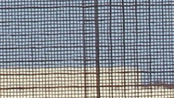 1,100 de los detenidos son menores de edad