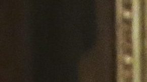 Tillerson habló del desastre que es trabajar con Trump