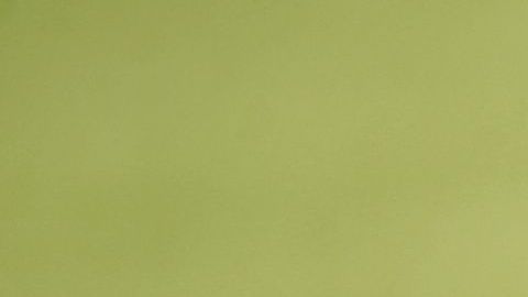 El presidente Trump presiona al Congreso para reducir la inmigración de indocumentados.