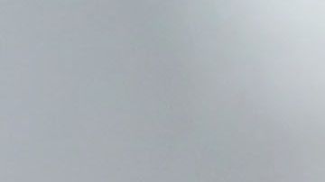 El presidente Trump teme al juicio político.