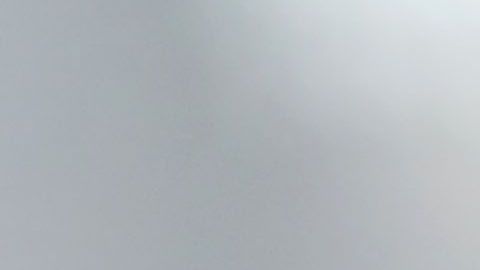 El presidente Trump teme al juicio político.