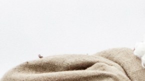 El centro de detención para inmigrantes Eloy en Arizona recibió la sorpresa