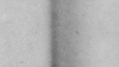Un eclipse fue crucial para probar que lo que creó la mente de Einstein era cierto.