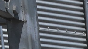 Los demócratas piden reforzar seguridad laboral en el sector agrícola.