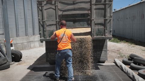 Los demócratas piden reforzar seguridad laboral en el sector agrícola.