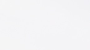 Mariachis cantan a la Virgen de Guadalupe durante la procesión anual en el Este de Los Ángeles. (Jorge Luis Macias, Especial para La Opinion)