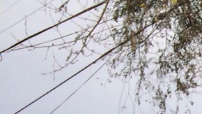 Jacqueline Carrillo y su madre, Elva Flores, enfrentan el desalojo esta Navidad. (Francisco Castro)