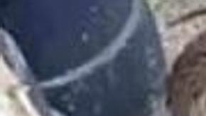 img_adomenech_20181230-185034_imagenes_lv_terceros_pato-k6iB-U453830104046xdC-992x558@LaVanguardia-Web