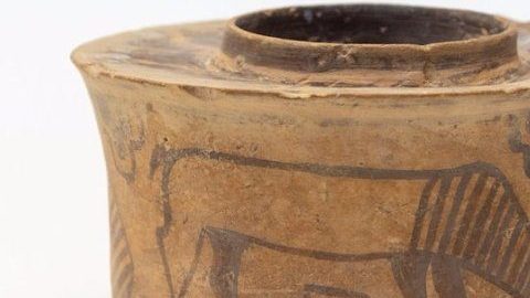 Vaso cepillos de dientes