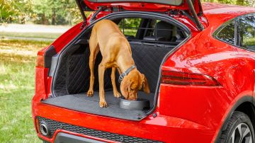 Los accesorios para mascotas ayudan a mantener el auto de un conductor limpio y a su fiel amigo seguro