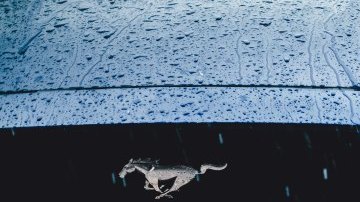 jonathan-gallegos-728815-unsplash
