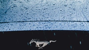 jonathan-gallegos-728815-unsplash
