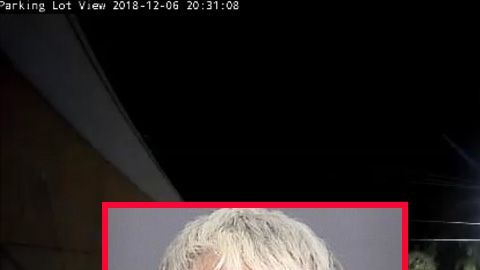 Charles Alton Stratton.