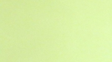 Manuel "El Loco" Valdés