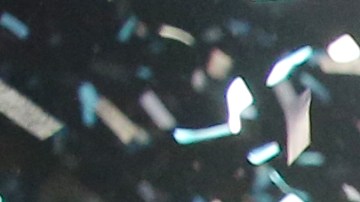 Este año se esperan 50 mil personas