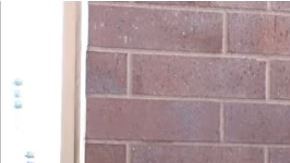 Viajero en el tiempo