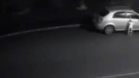Abandono perro